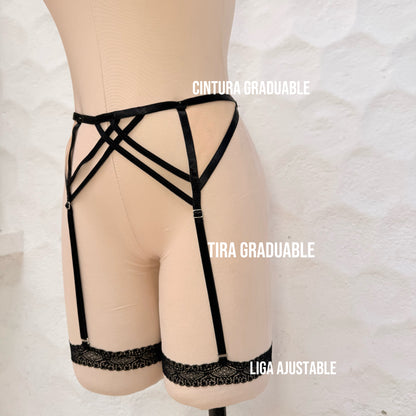 Liguero Transparencia